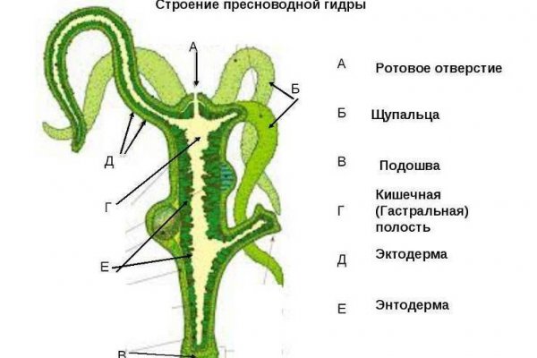 Kra9gl